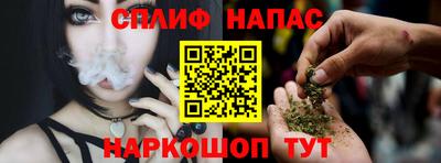 mdpv Можга