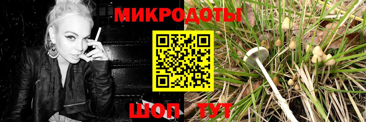 Псилоцибиновые грибы Magic Shrooms  Вход с VPN  Рузаевка  Псилоцибиновые грибы Magic Shrooms 